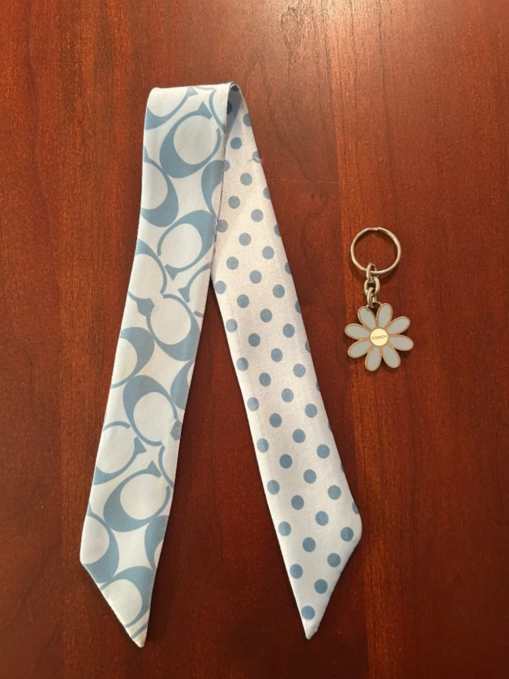 Coach Y2K Enamel Daisy Charm and Silk Pony/Bag 22” Skinny Scarf